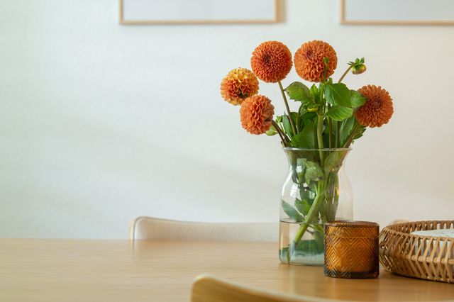 2017 Bluebonnet Drive, Fort Worth, TX 76111