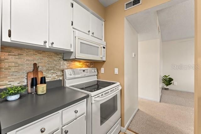 527 S LINCOLN AVENUE A208, Tampa, FL 33609