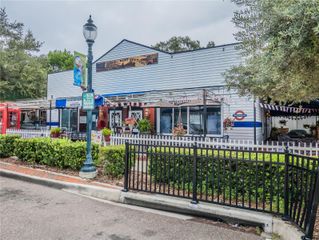322 N ALEXANDER STREET, Mount Dora, FL 32757
