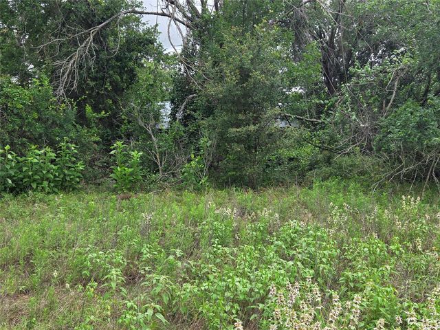 3165 CR 302, Rockdale, TX 76567