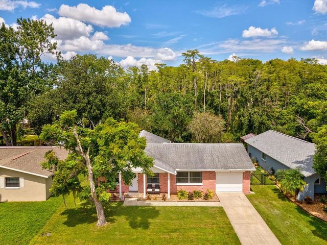 4244 RACCOON LOOP, New Port Richey, FL 34653