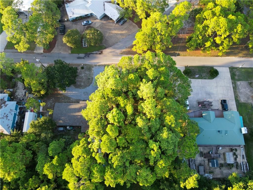 315 Conde Avenue, Dauphin Island, AL 36528 — photo 3