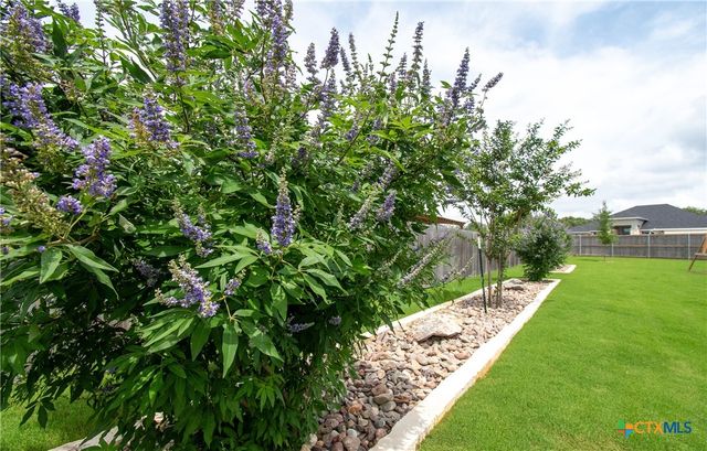 3073 Bella Vita Drive, Nolanville, TX 76559