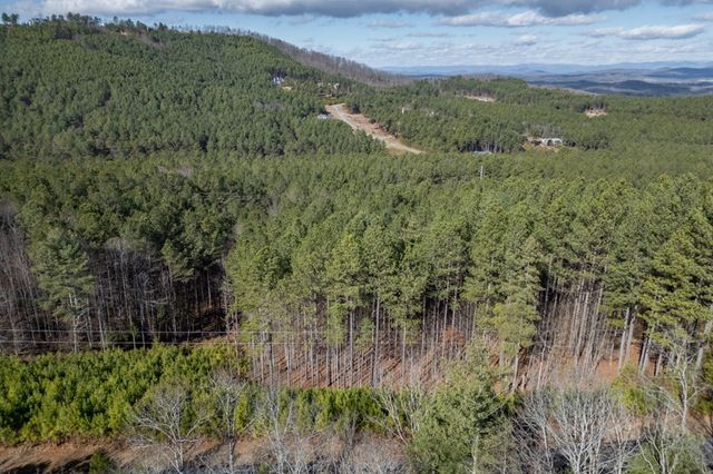 Lot 74 Thirteen Hundred, Blairsville, GA 30512