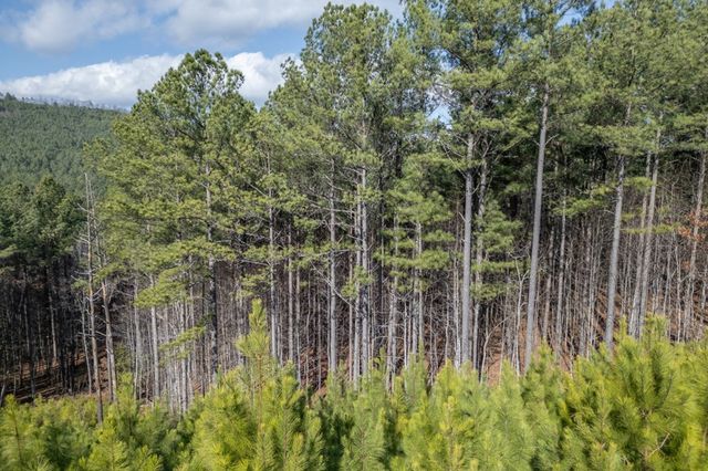 Lot 74 Thirteen Hundred, Blairsville, GA 30512