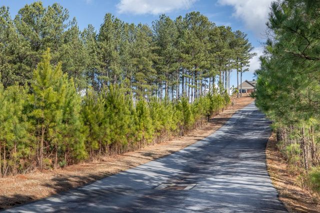 Lot 74 Thirteen Hundred, Blairsville, GA 30512