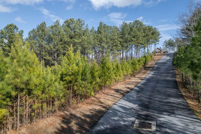 Lot 74 Thirteen Hundred, Blairsville, GA 30512