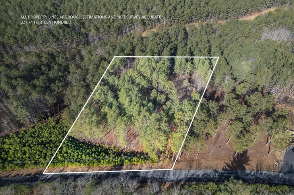 Lot 74 Thirteen Hundred, Blairsville, GA 30512