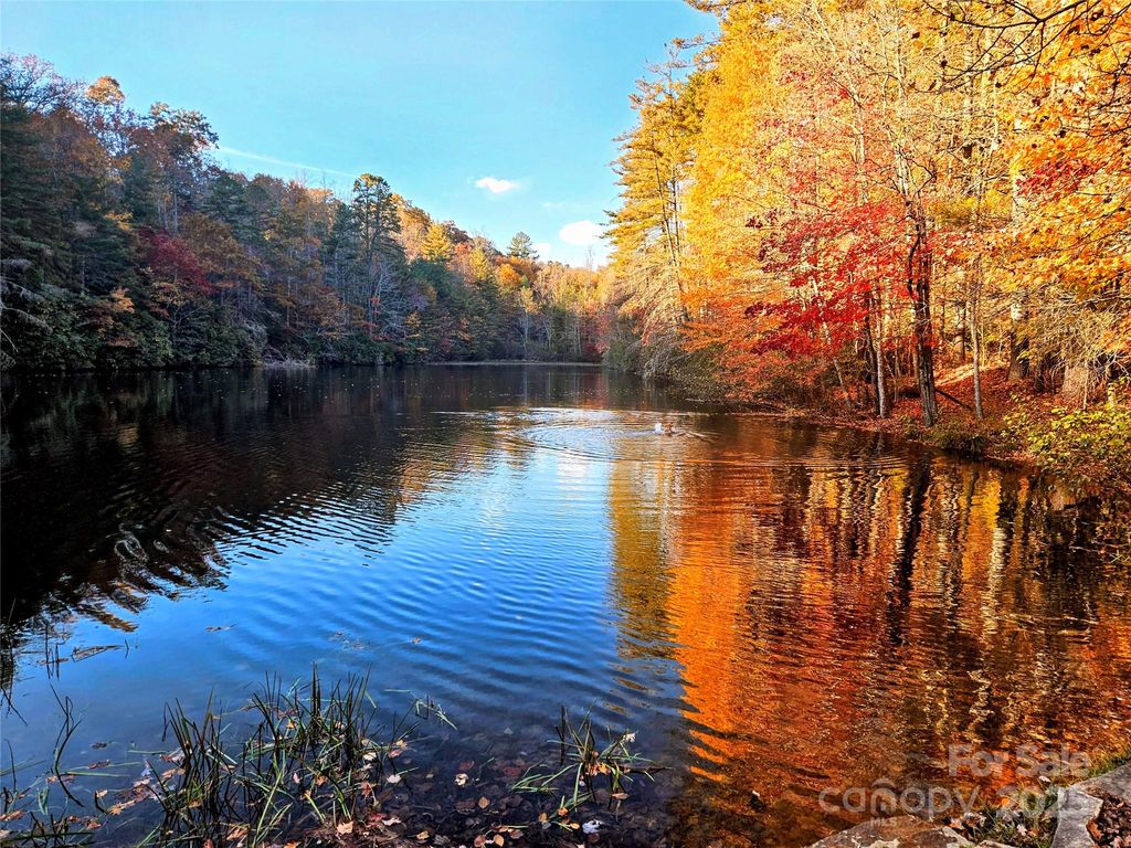 900 Bud Siniard Road, Brevard, NC 28712