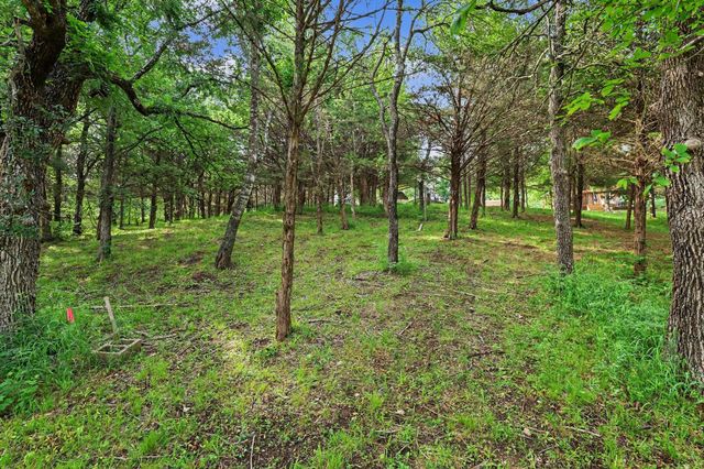 TBD Cherry Tree Lane, Pottsboro, TX 75076