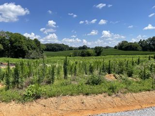0 Hidden Hills Lane, Summertown, TN 38483
