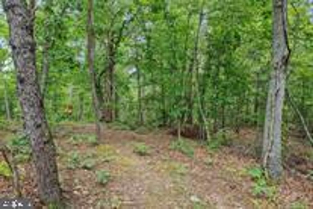 GALILEE RD, Big Pool, MD 21711