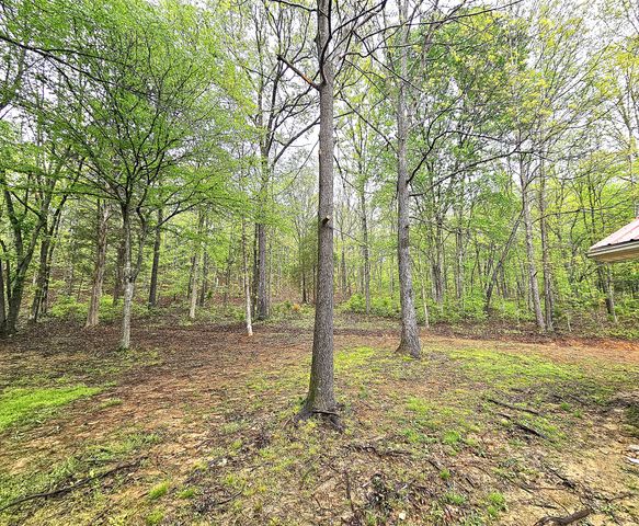 6100 Bell Branch Trl, Nunnelly, TN 37137