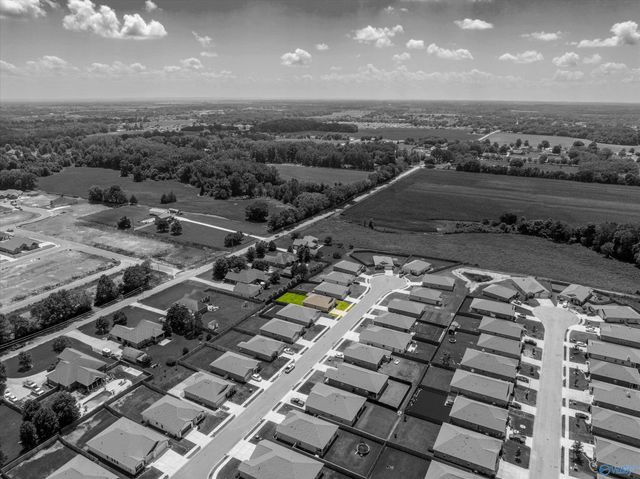 26336 Nash Lane, Athens, AL 35613