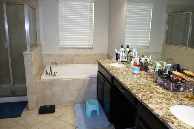 12311 BALLENTRAE FOREST DRIVE, Riverview, FL 33579