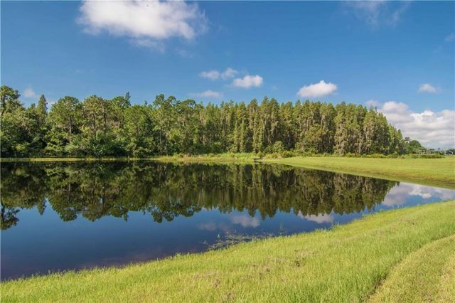 12311 BALLENTRAE FOREST DRIVE, Riverview, FL 33579