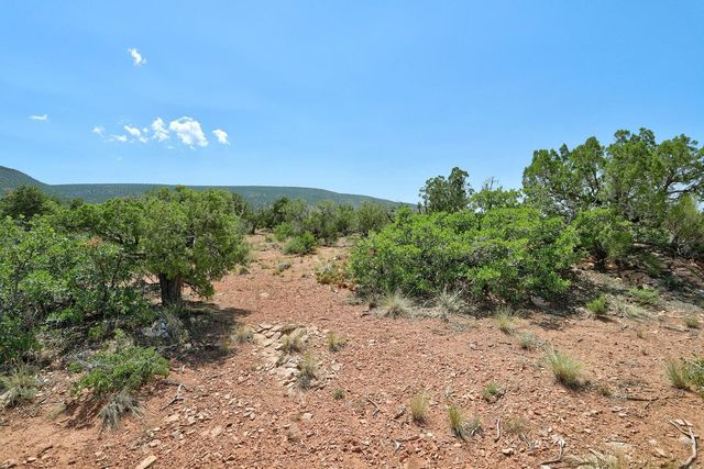 100 Wild Primrose Road, Placitas, NM 87043