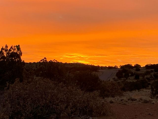 100 Wild Primrose Road, Placitas, NM 87043