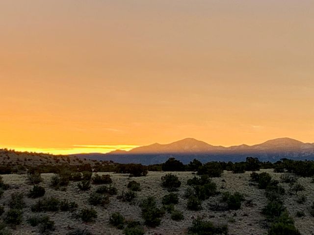 100 Wild Primrose Road, Placitas, NM 87043