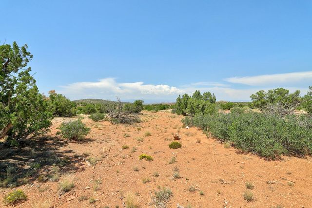100 Wild Primrose Road, Placitas, NM 87043