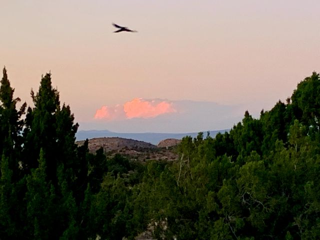 100 Wild Primrose Road, Placitas, NM 87043