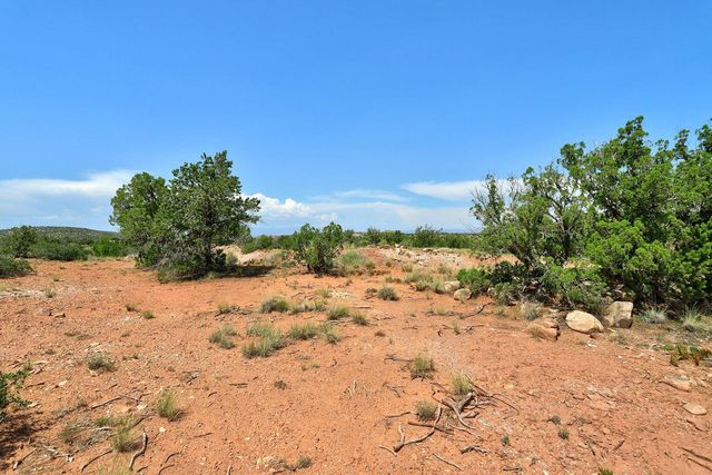 100 Wild Primrose Road, Placitas, NM 87043