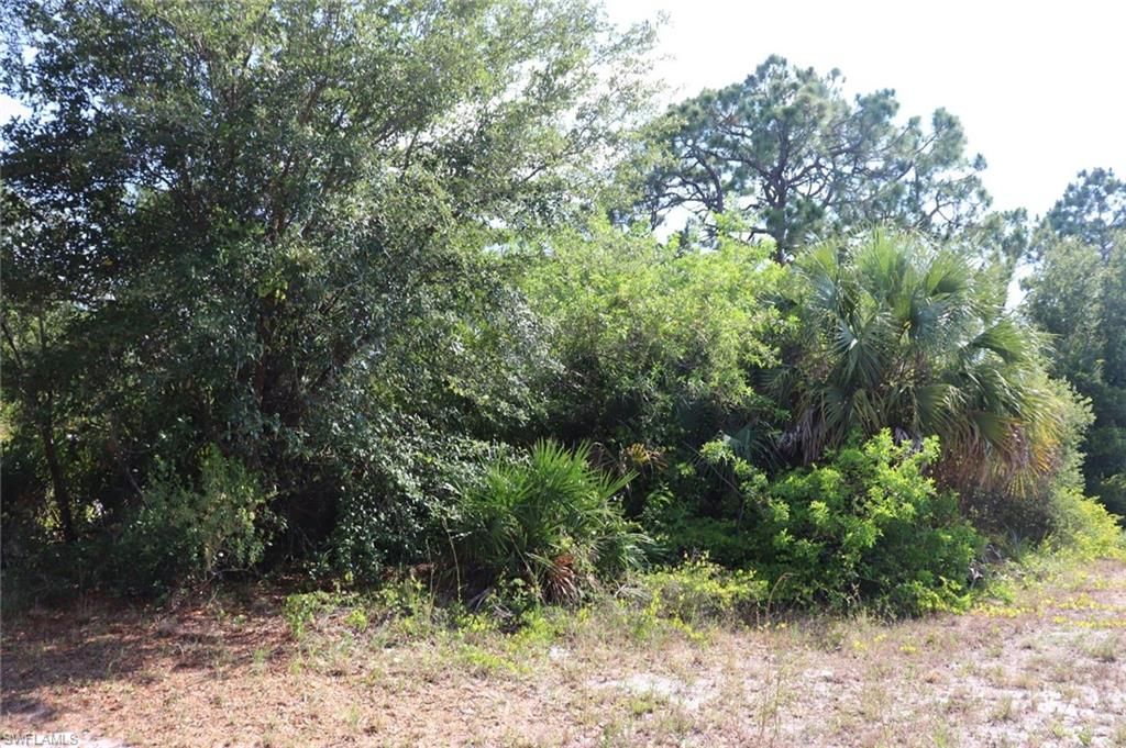 4244 E 24th ST, ALVA, FL 33920 — photo 5
