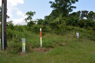 TBD Dove Island, Livingston, TX 77351