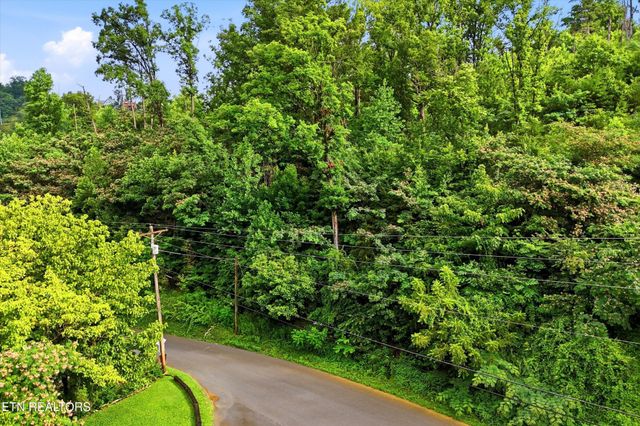 127 Beech Branch Rd, Gatlinburg, TN 37738