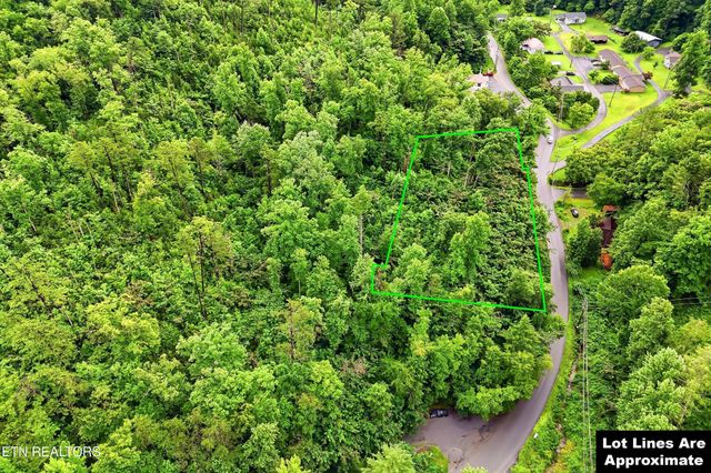 127 Beech Branch Rd, Gatlinburg, TN 37738
