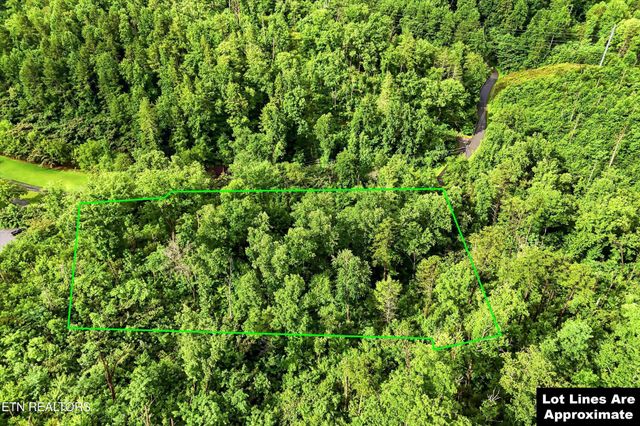 127 Beech Branch Rd, Gatlinburg, TN 37738