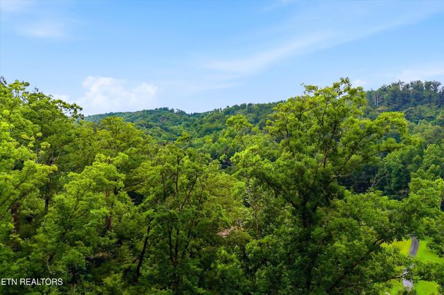 127 Beech Branch Rd, Gatlinburg, TN 37738