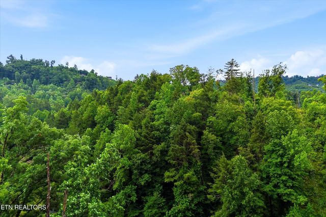 127 Beech Branch Rd, Gatlinburg, TN 37738