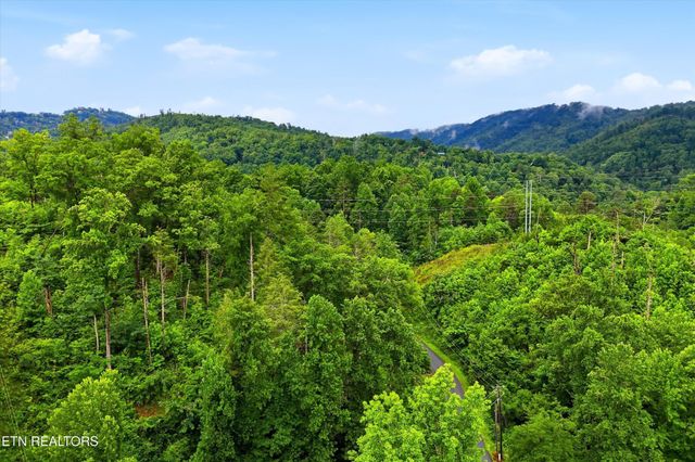127 Beech Branch Rd, Gatlinburg, TN 37738