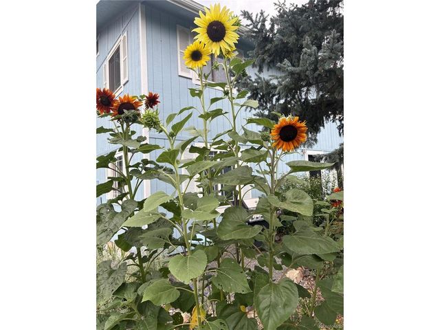 6202 W 93rd Ave, Westminster, CO 80031