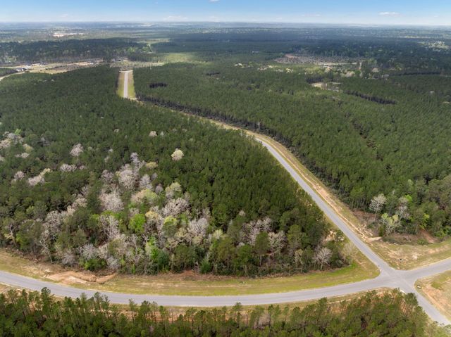 16039 Forest Mill Road, Willis, TX 77378