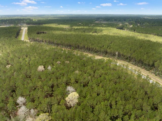 16039 Forest Mill Road, Willis, TX 77378