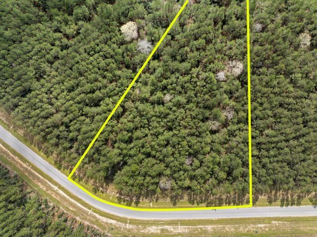 16039 Forest Mill Road, Willis, TX 77378