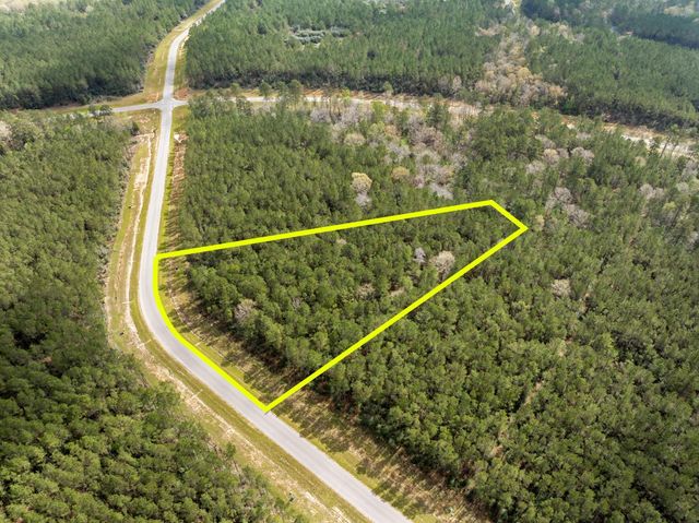 16039 Forest Mill Road, Willis, TX 77378