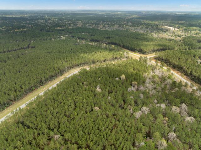 16039 Forest Mill Road, Willis, TX 77378