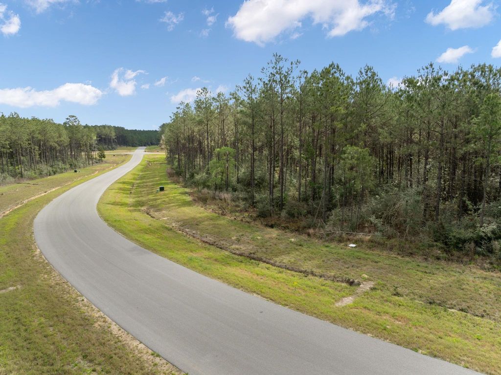 16039 Forest Mill Road, Willis, TX 77378