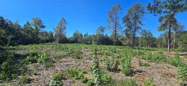 00 Lot 5 Cr 338, Nacogdoches, TX 75961