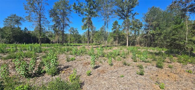 00 Lot 5 Cr 338, Nacogdoches, TX 75961