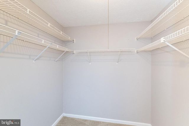 3348 RACCOON CT, Abingdon, MD 21009
