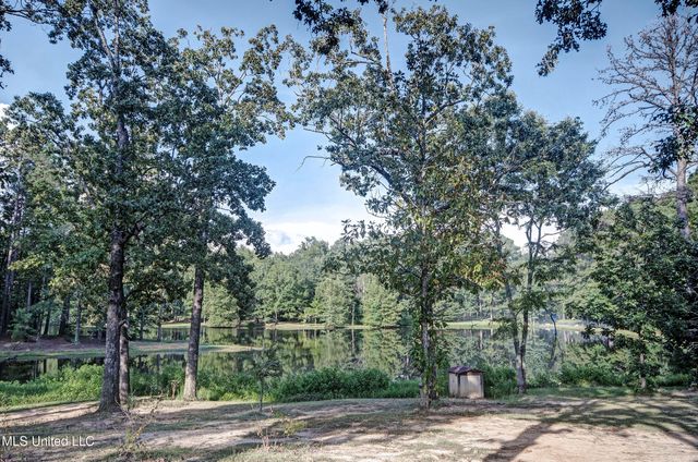 402 Springwood Circle, Terry, MS 39170
