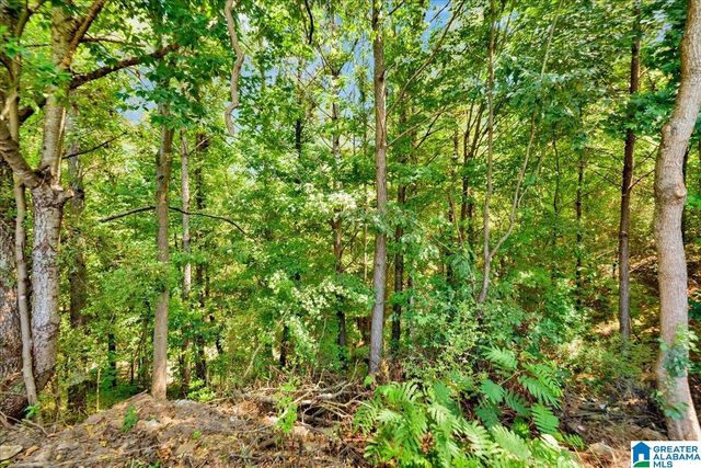 177 HIGHVIEW COVE, Pelham, AL 35124