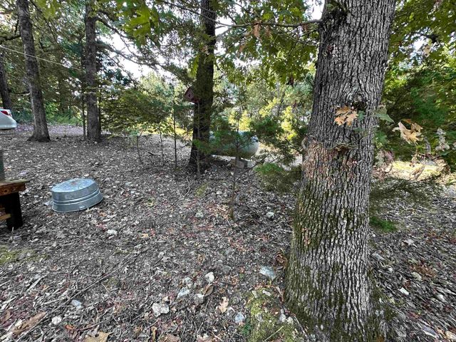 2662 MC 8050, Yellville, AR 72687