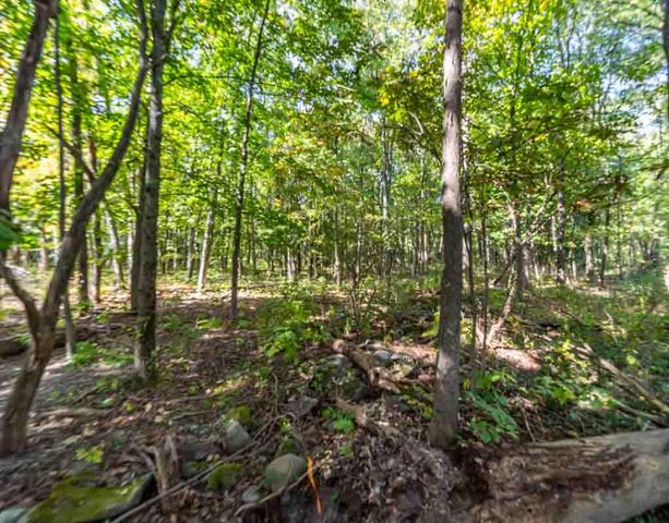 Homestead Avenue, Maybrook, NY 12543