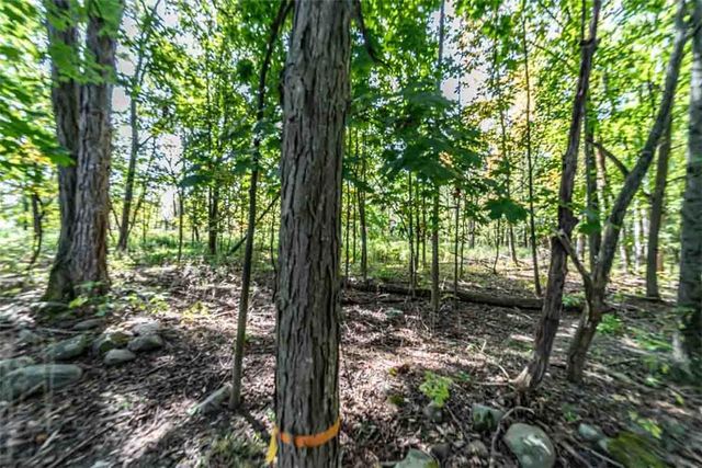 Homestead Avenue, Maybrook, NY 12543