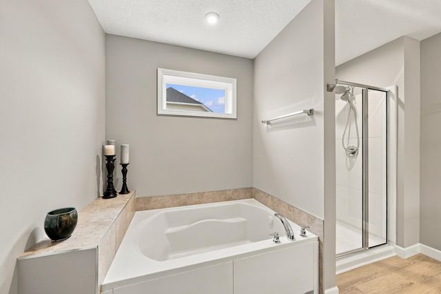 833 Red Cedar Court, Chaska, MN 55318